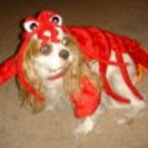 Meet your Posher, Colleen